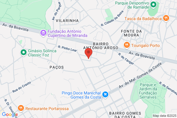 Maria C G Moinhos Henriques
