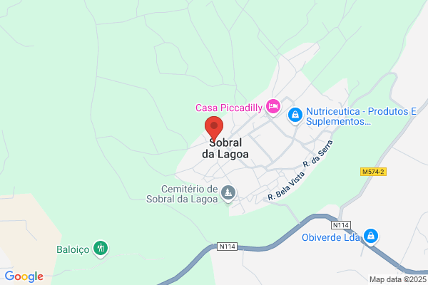 Paula A Costa Sobral
