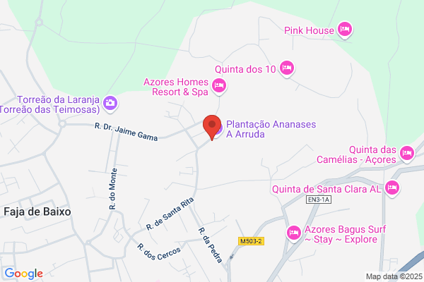 Margarida R C S S Almeida Roque
