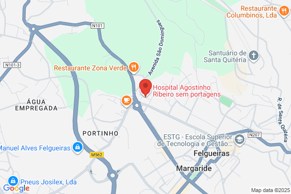 Bernardete M Sribeiro