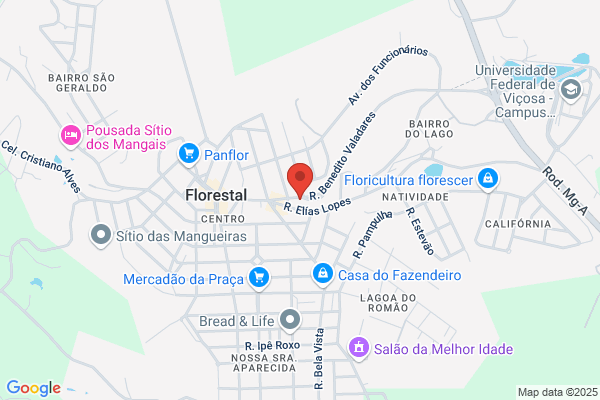 Fima Marcelo