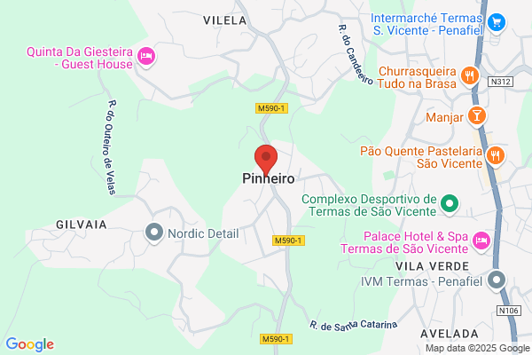 Maria L V Pinheiro Soares