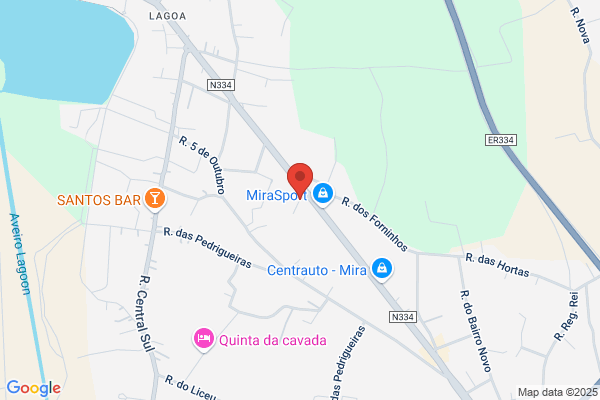 Maria A F Leite Sousa