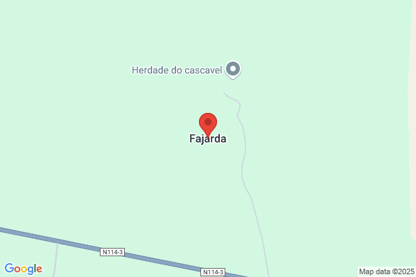 Abel A Pereira Duarte