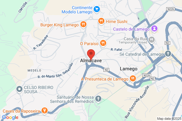 Ana P Fonseca Gonçalves