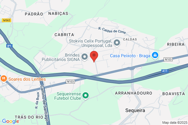 Carlos Da Cunha Ribeiro & Filhos. Sa