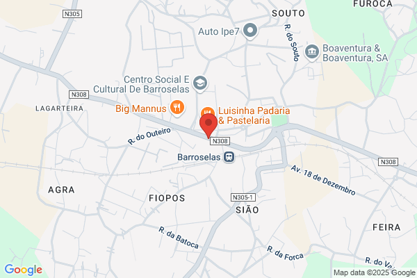 Margarida V V Félix Veiga