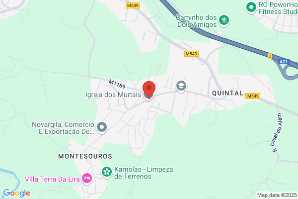 Rui M A Ramos Trovão