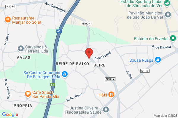 Américo A Fernandes Coelho