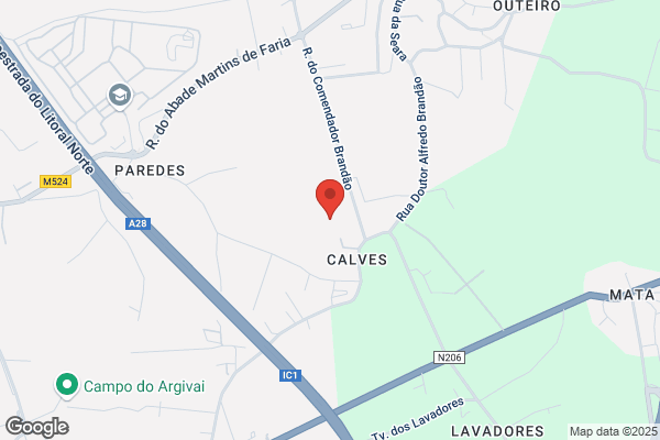 Elvira M D C Freitas Sousa