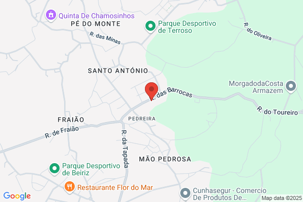 Paulo J Carvalho Barbosa