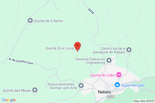 Lucia M Paiva Correia