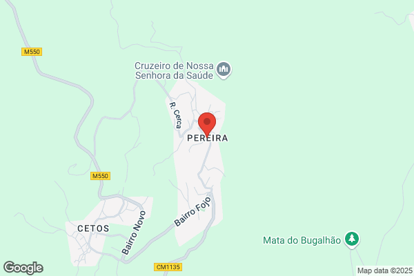 Vasco Pereira