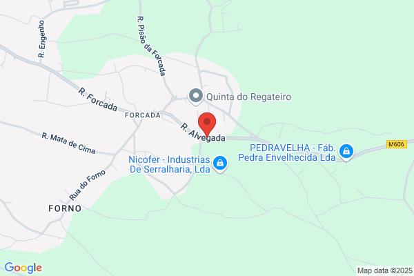 Alexandra F P Santos Penacho