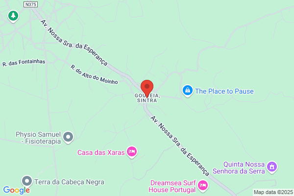 Gouveia Da Costa