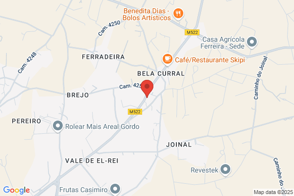 Joaquim M Brito Viegas
