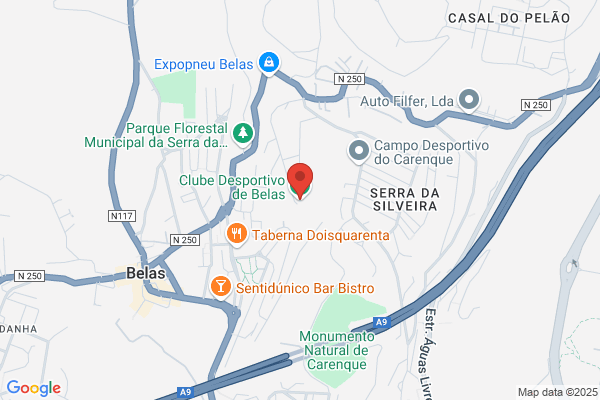 Delfim Silva Benfeitas