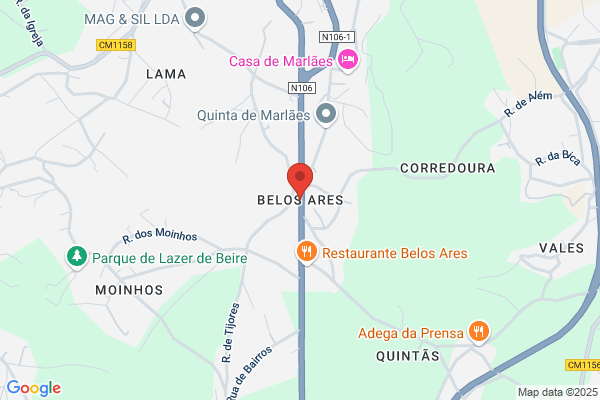 M Helena Reis