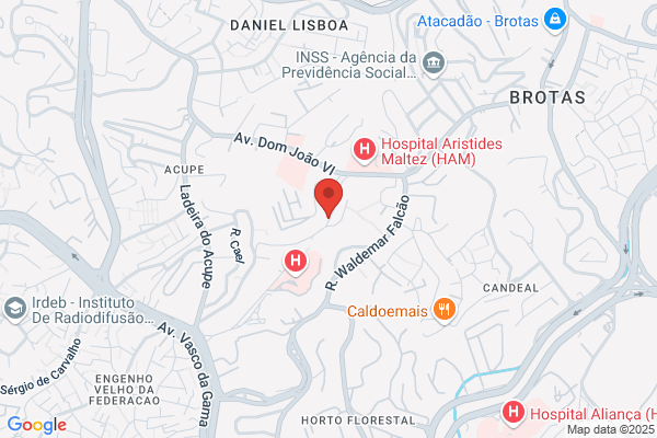 Maria A L N Silva Salvador