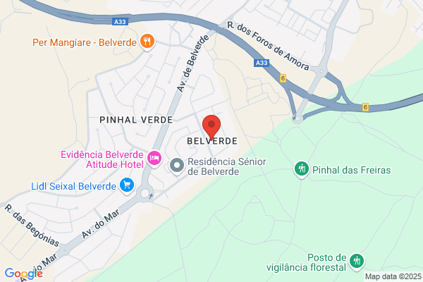 Maria Z B Vidigal Pelaio