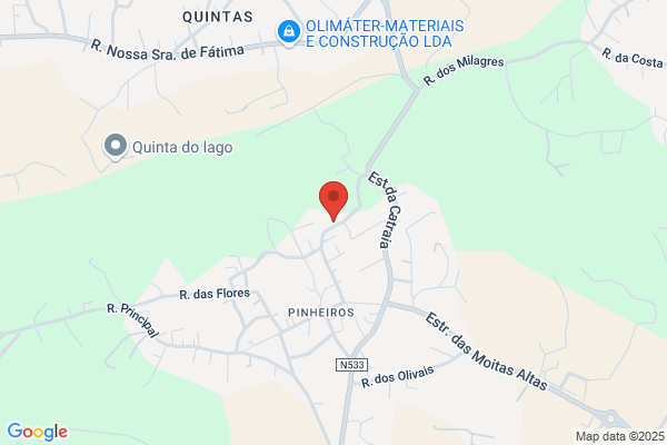 Joaquim Antanio Gomes Pereira Da Costa E jose Gomes Correia