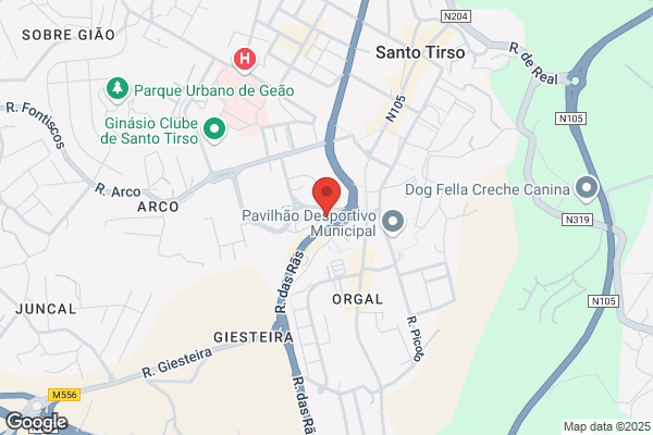 Táxis Santo Tirso - Central