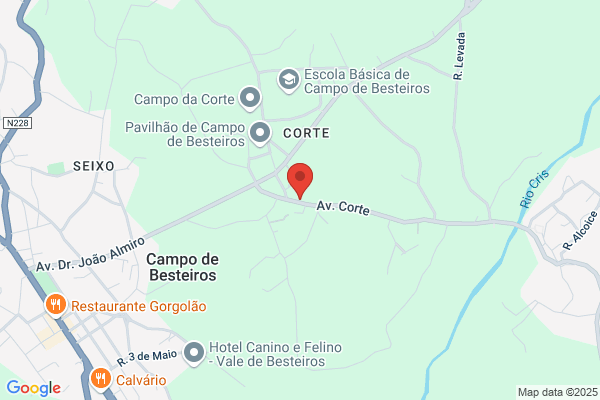 Carlos Alberto Carvalho Gonialves Pereira