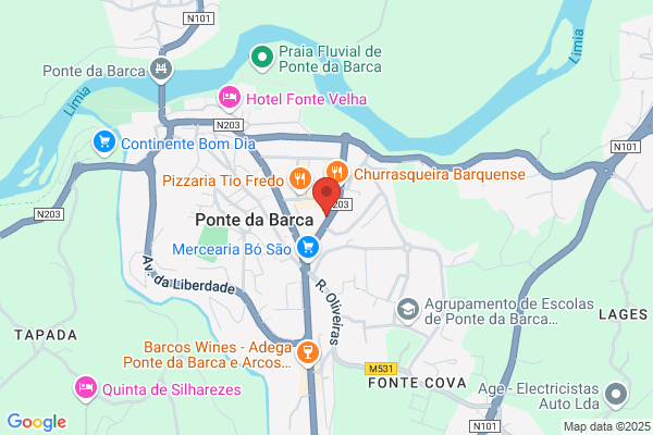 Maria E Gomes Gonçalves