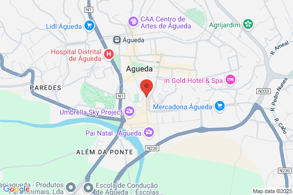Cartario Notarial De Agueda