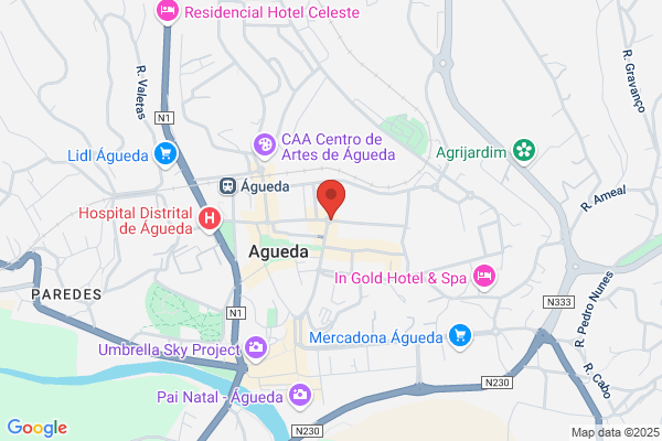 Rial-Representaiao De Informatica De Agueda. Lda