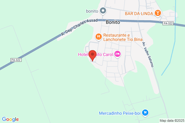 Rute Passarinho