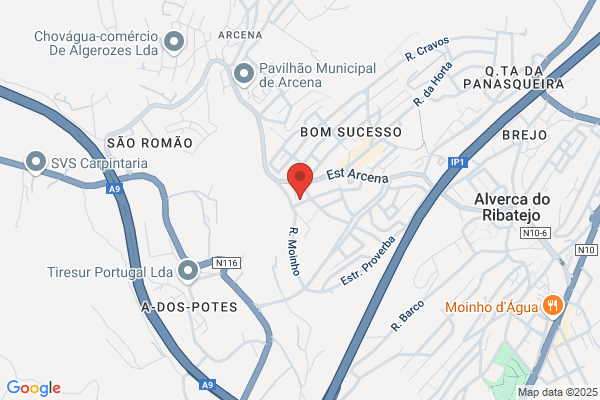 Maria J Simões Dias