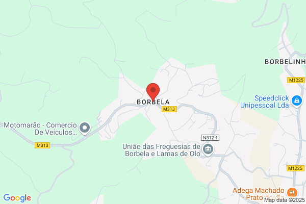 Aleliv-Consultoria E Formação Lda