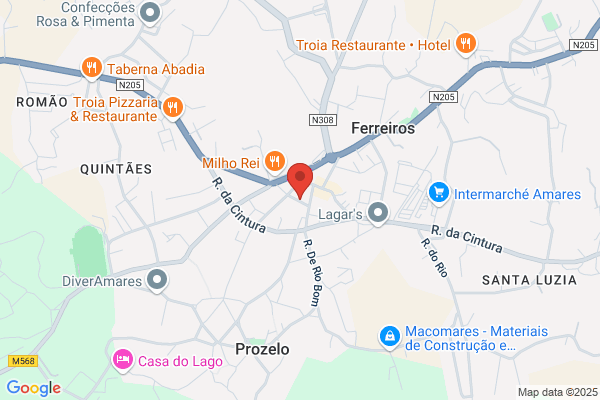 Rui P C Rodrigues Pinheiro