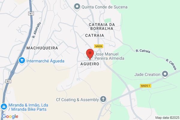 Aurora M Pereira Bastos