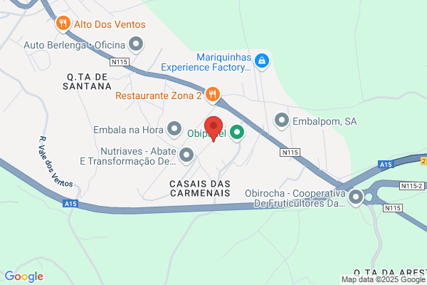 S G N-Sociedade De Gelatinas Do Norte. sa