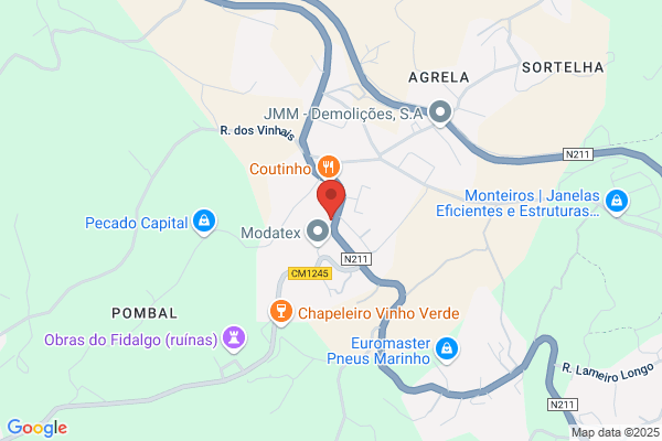 Alzira M C Ribeiro Pinto
