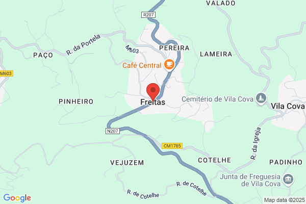Freitas,celso Pimenta
