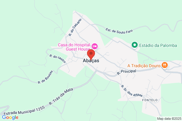 António Pimenta Alves Correia Lda