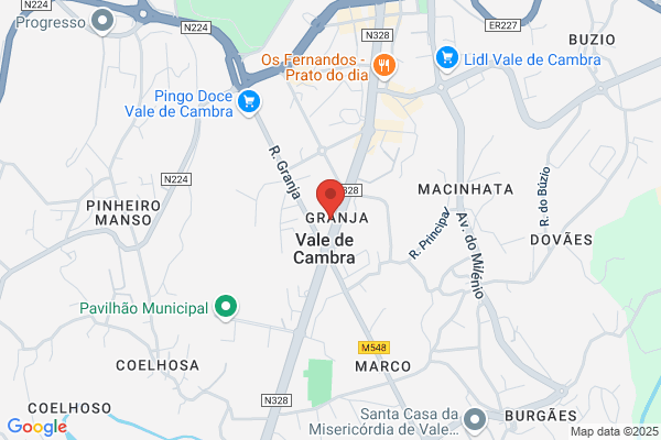 Bruno Carmo-Prestaï De Servió Mico-Dentéos Lda