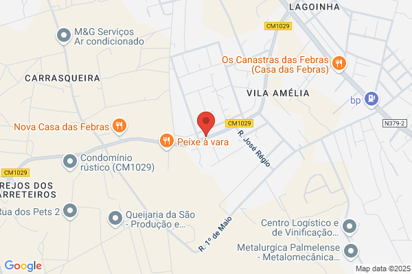 Maria L M Rodrigues Raminhos