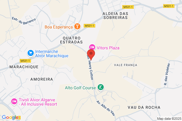 Horéo Tavares De Carvalho
