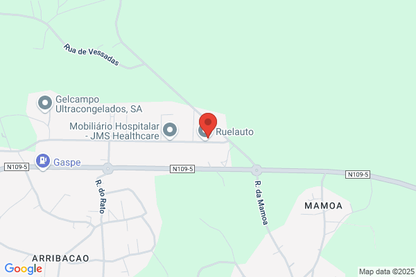 Albino Silva Figueiredo