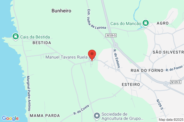 José A Tavares Moutela