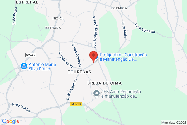 Manuel A Ferreira Nunes