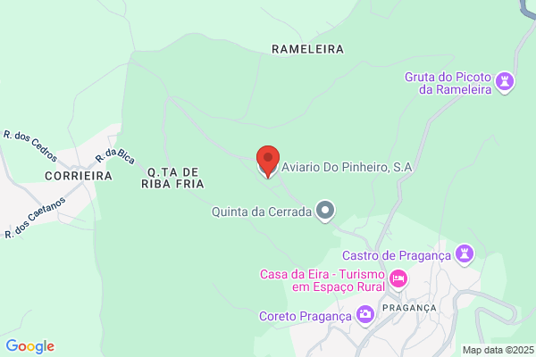 Sa Pinheiro