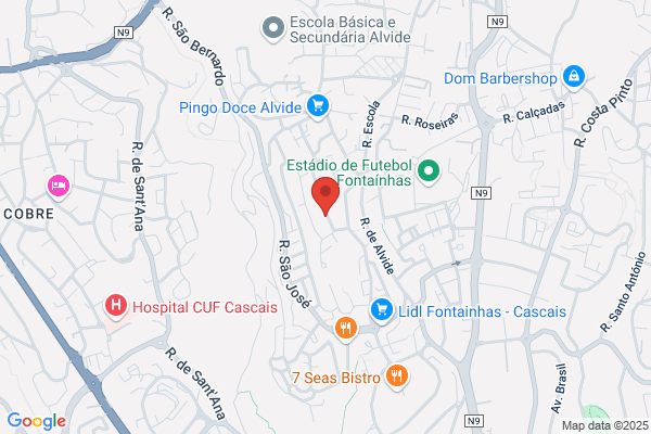 Síntese Do Corpo