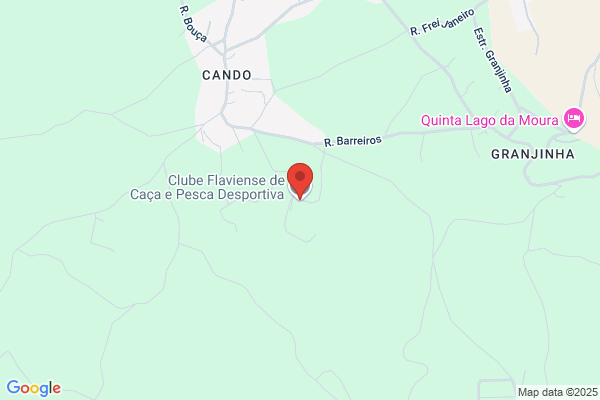 Associação Desportiva Flaviense
