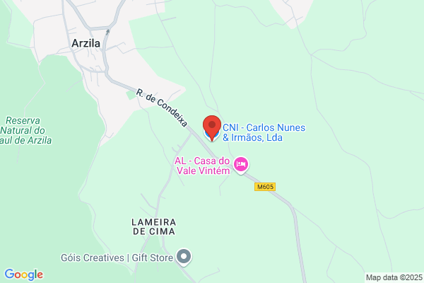 Cldia Nunes Vicente