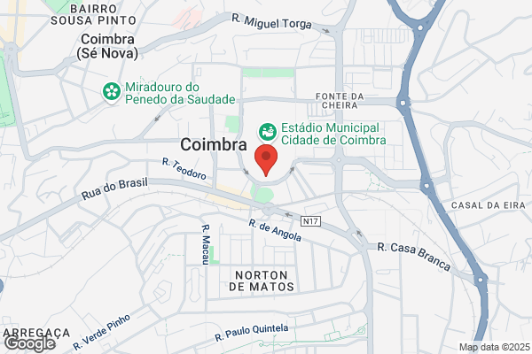 Rui M D Pires Godinho